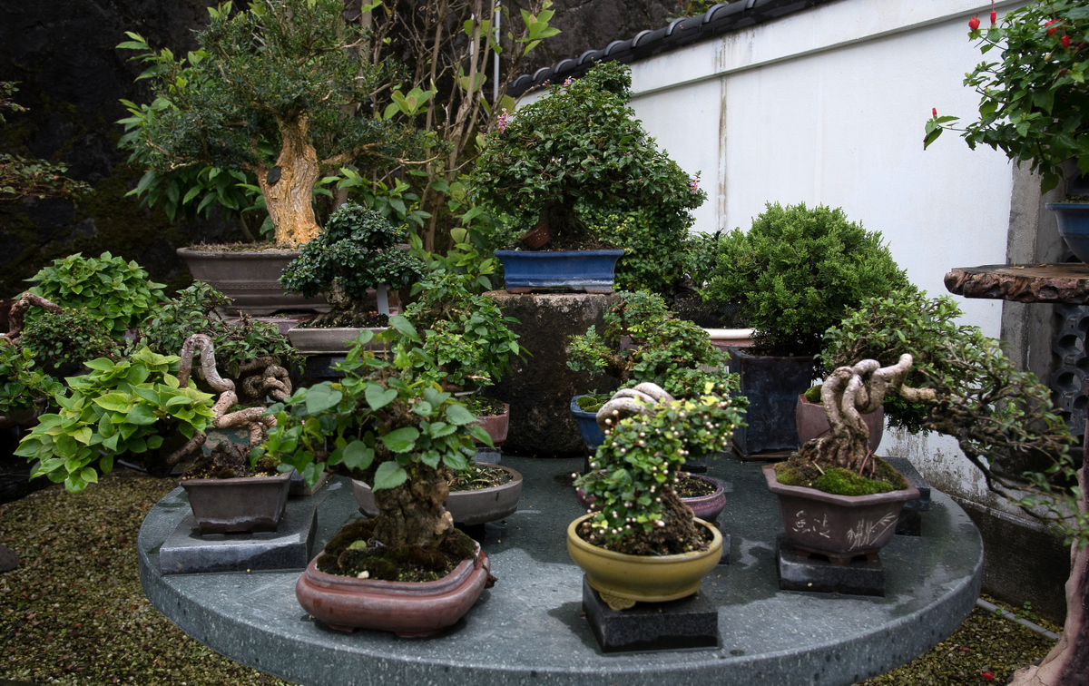 DSC_7213.jpg