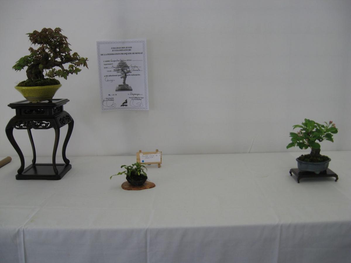 2015-04-12 10.49.46.jpg