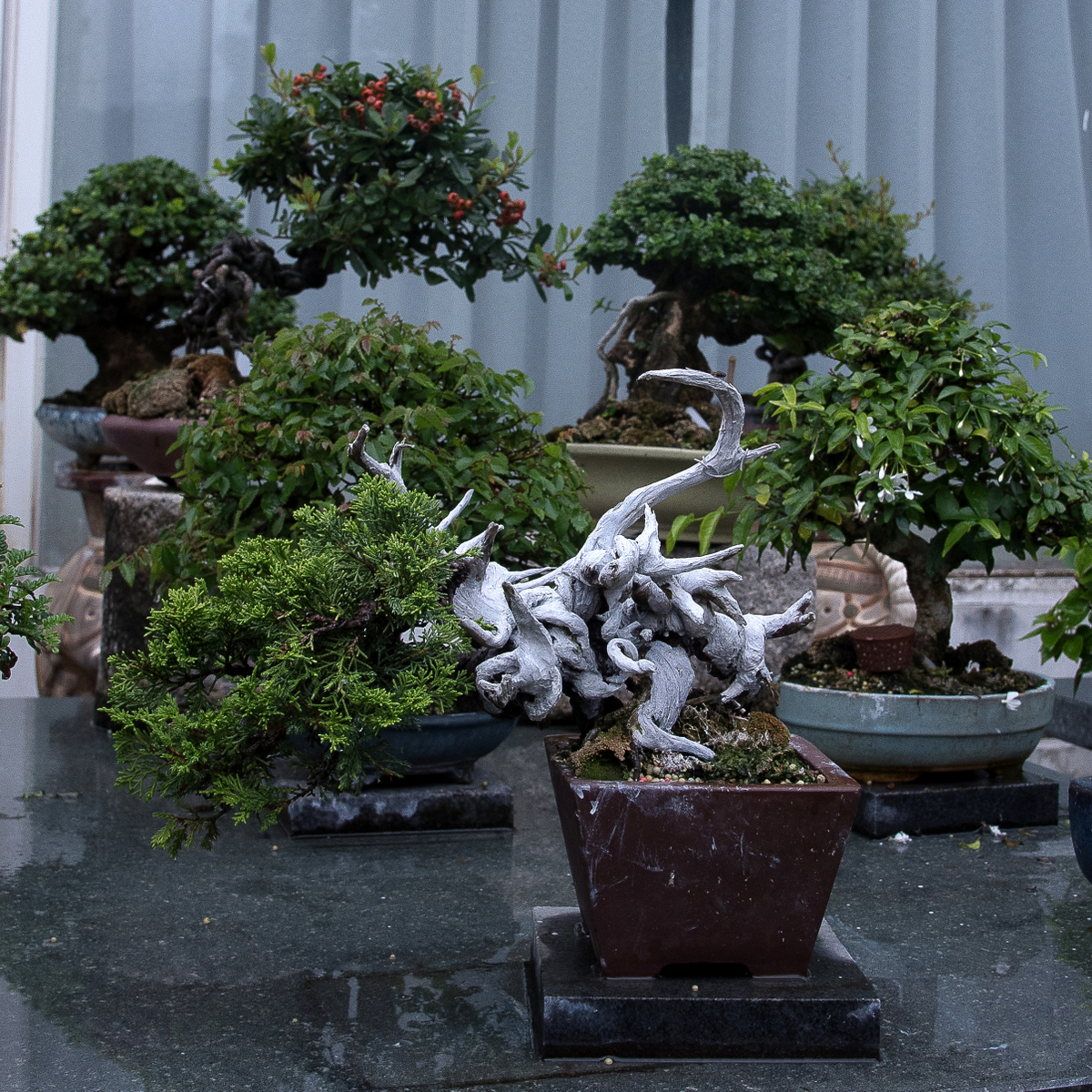 DSC_7209.jpg