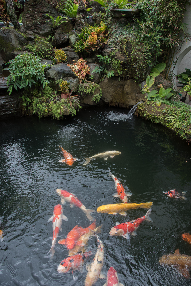 DSC_7179.jpg