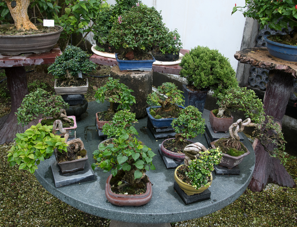 DSC_7196.jpg