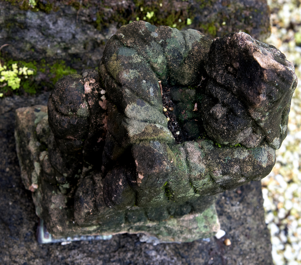 DSC_7185.jpg