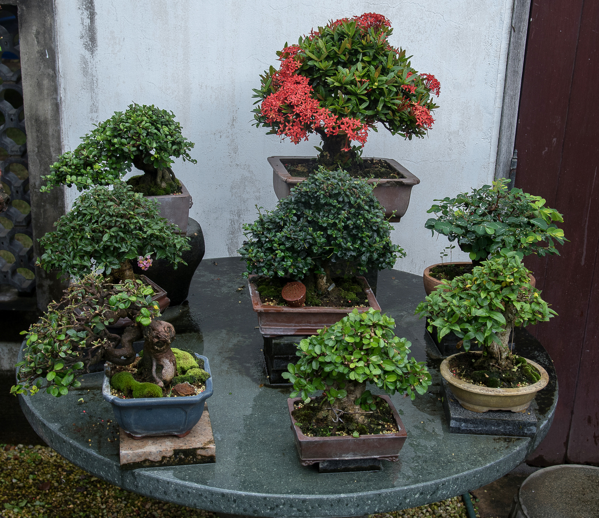 DSC_7197.jpg