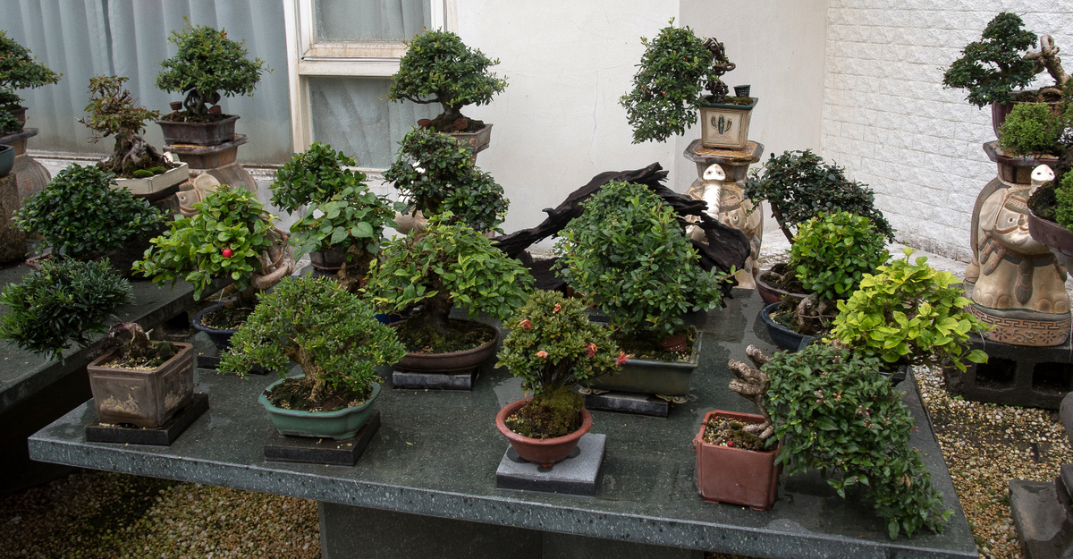 DSC_7200.jpg
